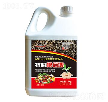 ����������-ɽ�|�������