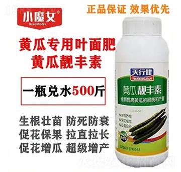 �S�ό����~���-�S���n�S��-СħŮ-���н�