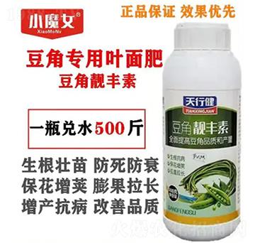 ���ǌ����~���-�����n�S��-СħŮ-���н�