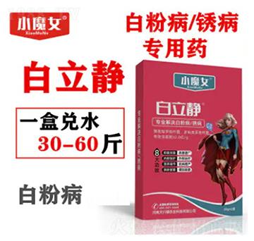 �׷۲����P����(zhu��n)��ˎ-�����o-СħŮ-���н�