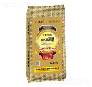 ���r���ط�-���r�ط�