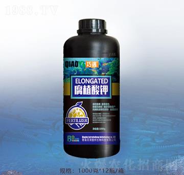 ��ֲ���-�ٝ��ݰ�