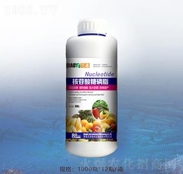 ����������֬-�ٝ�(r��n)�ݰ�