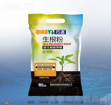 ������-�ٝ��ݰ�