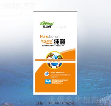 ����-�ٝ��ݰ�