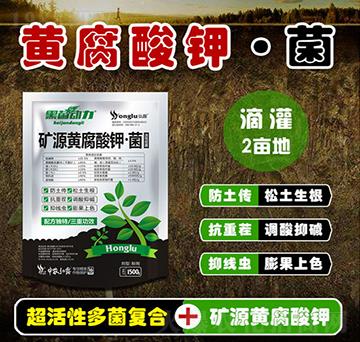 �VԴ�S����⛡���-�ھ�����-���r(n��ng)��¶