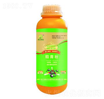 �������Ƅ�-������-�W�r(n��ng)����