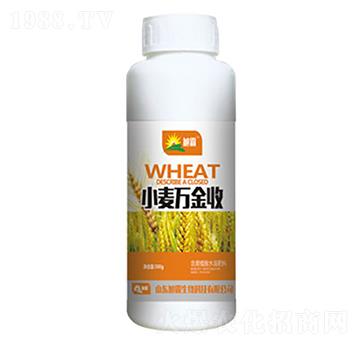 С���f(w��n)����-�������