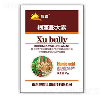 ���o�����-�������