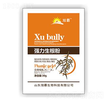 ����������-�������