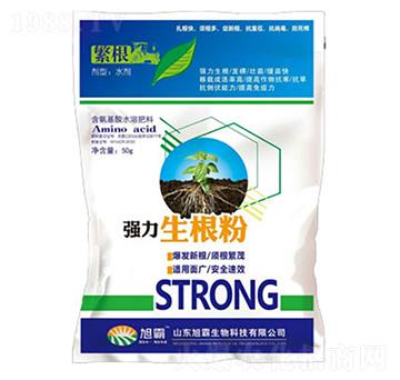 ���������ۣ��{��-�������