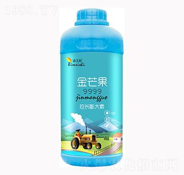 ��â�����L(zh��ng)�����-�����r(sh��)-�f(w��n)���r(n��ng)��