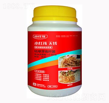 �ݲ�ѿ�ߗU��-С�t��-�f(w��n)���r(n��ng)��