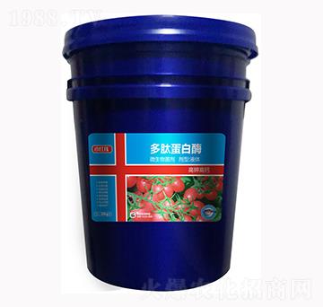 ���ĵ���ø-С�t��-�f���r(n��ng)��