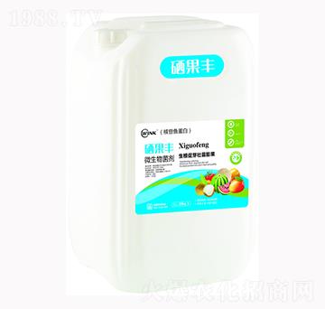 �����S΢�������-�f(w��n)���r(n��ng)��