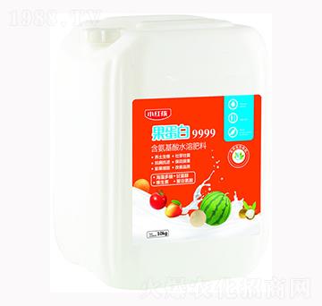 ������9999-С�t��-�f���r��