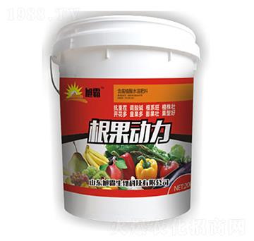 ������(d��ng)��-�������