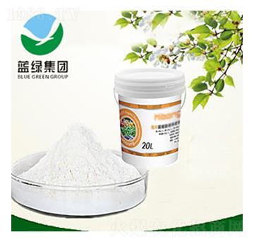 ������-����˹����