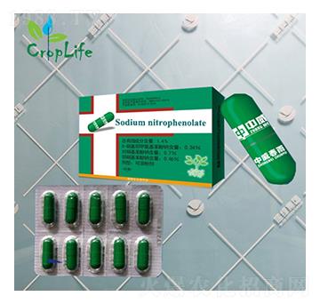 ����1̖���z�ң�-����˹����