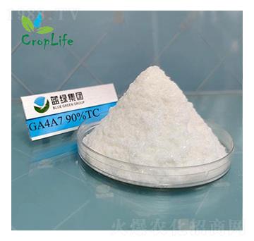 ��ù��A4A7-��(��i)��˹����