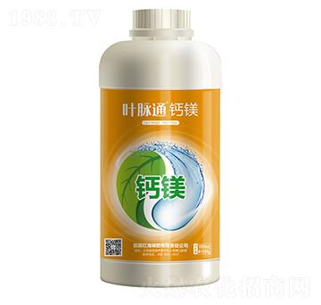 �~�}ͨ���}�V-���컯