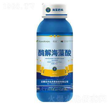 ø�⺣����-΢¶-���컯