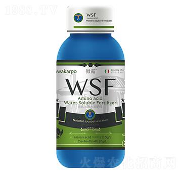 ��������ˮ�ܷ���WSF-΢¶-���컯