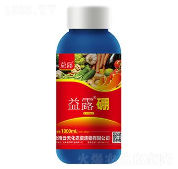 ��¶����-���컯