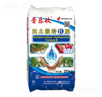 �o(w��)����������B��-�՘�