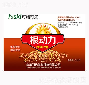 ������-��ʩ�ɘ�-��������