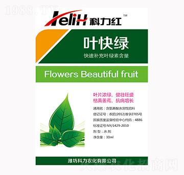 �~��G-�����t-��������