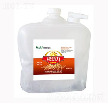 ������-��������