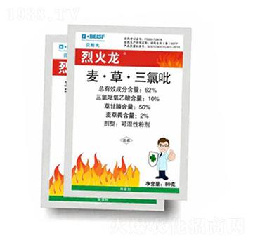 62%�����ݡ�������-�һ���-��С��