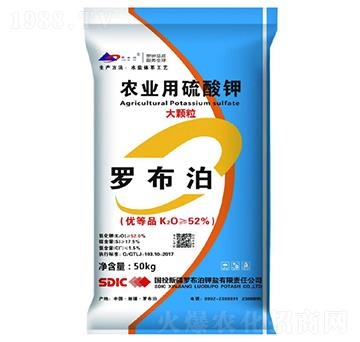 �r(n��ng)�I(y��)�������-�_����-���r(n��ng)���F