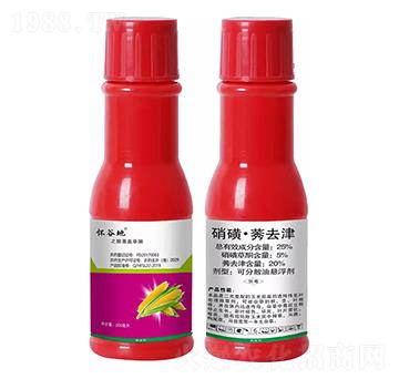 25%���ǡ�ݬȥ��-�ѹȵ�-(li��n)���r(n��ng)�I(y��)