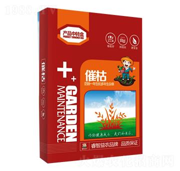 �߿�-������r(n��ng)