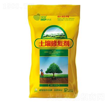 ���������ޏ�(f��)��-������r(n��ng)