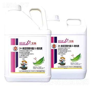 24-���|̦�؃�(n��i)����S-�T����-����-�����