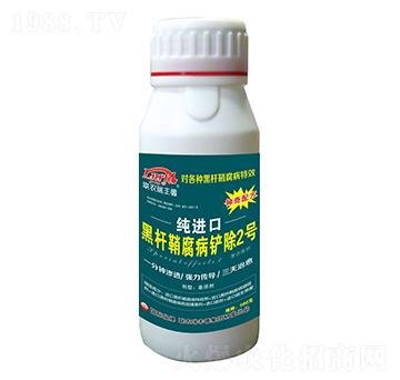 ΢�������-���M(j��n)�ںڗU�ʸ����P��2̖-���S��