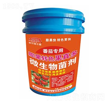 ΢�������-����Dɫ�����-���ь���-���S��