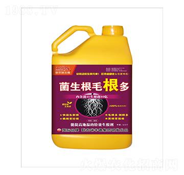 ������-������ë����-���S��