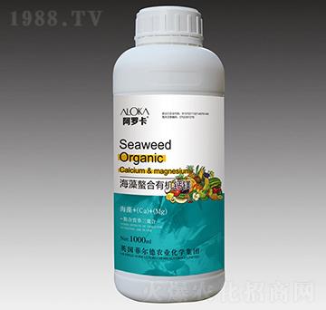 ���������ЙC(j��)�}�V-���_��-�Ɲ��r(n��ng)��