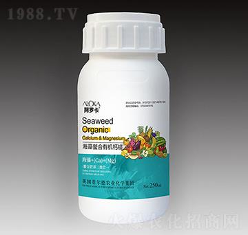 ���������ЙC(j��)�}�V-�����_-�Ɲ�(r��n)�r(n��ng)��