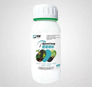 ��ҹ���L-�~�O-�殀������