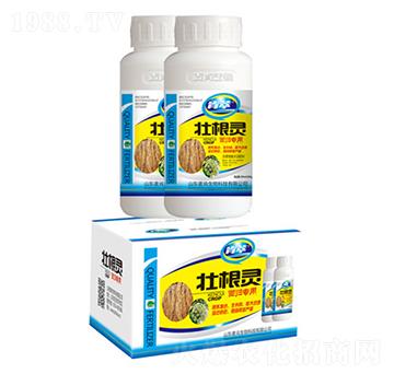 �Ѹ��`���w����-��������