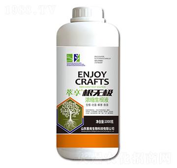 ���o�O��s����Һ-��������