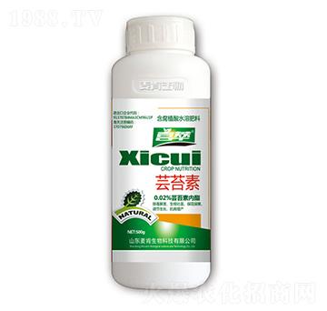 �|̦��-��������