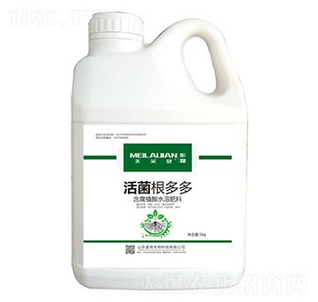 ��������-��������