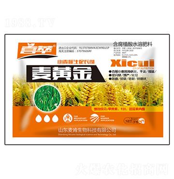 ���S��С���������L(zh��ng)��-��������