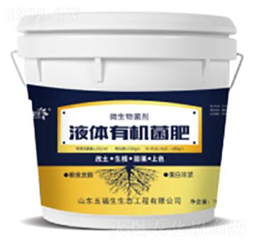 Һ�w�ЙC����-�帣��